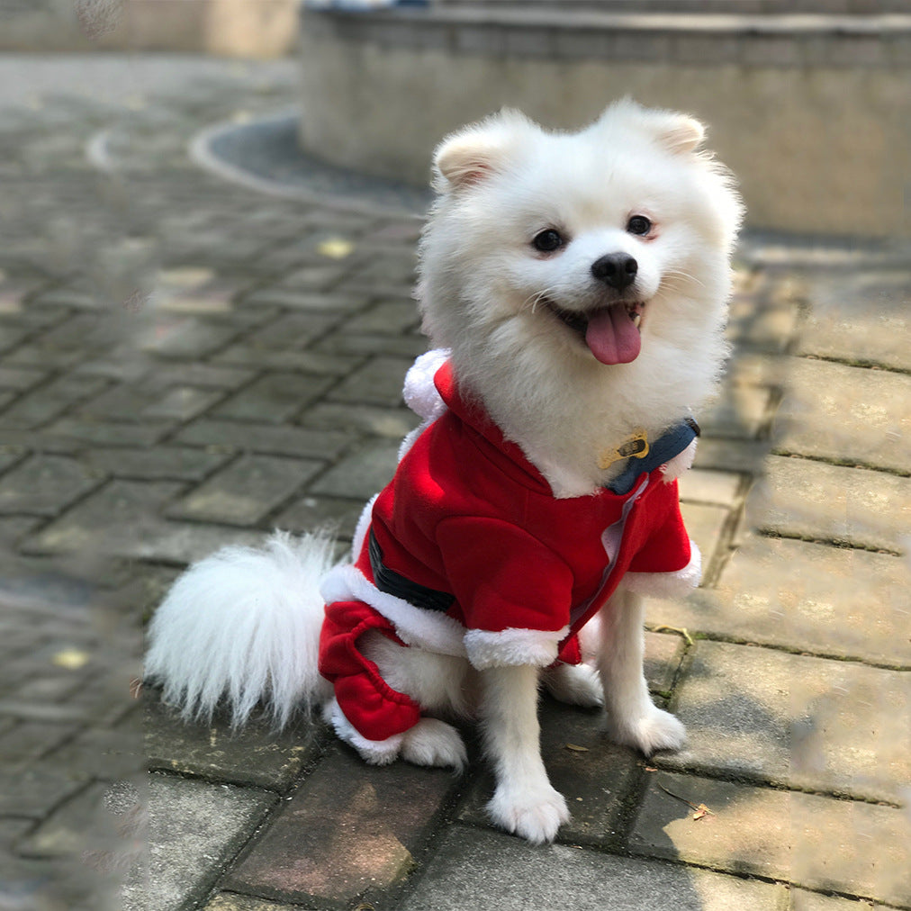 Santa's Little Helper Santa Suit