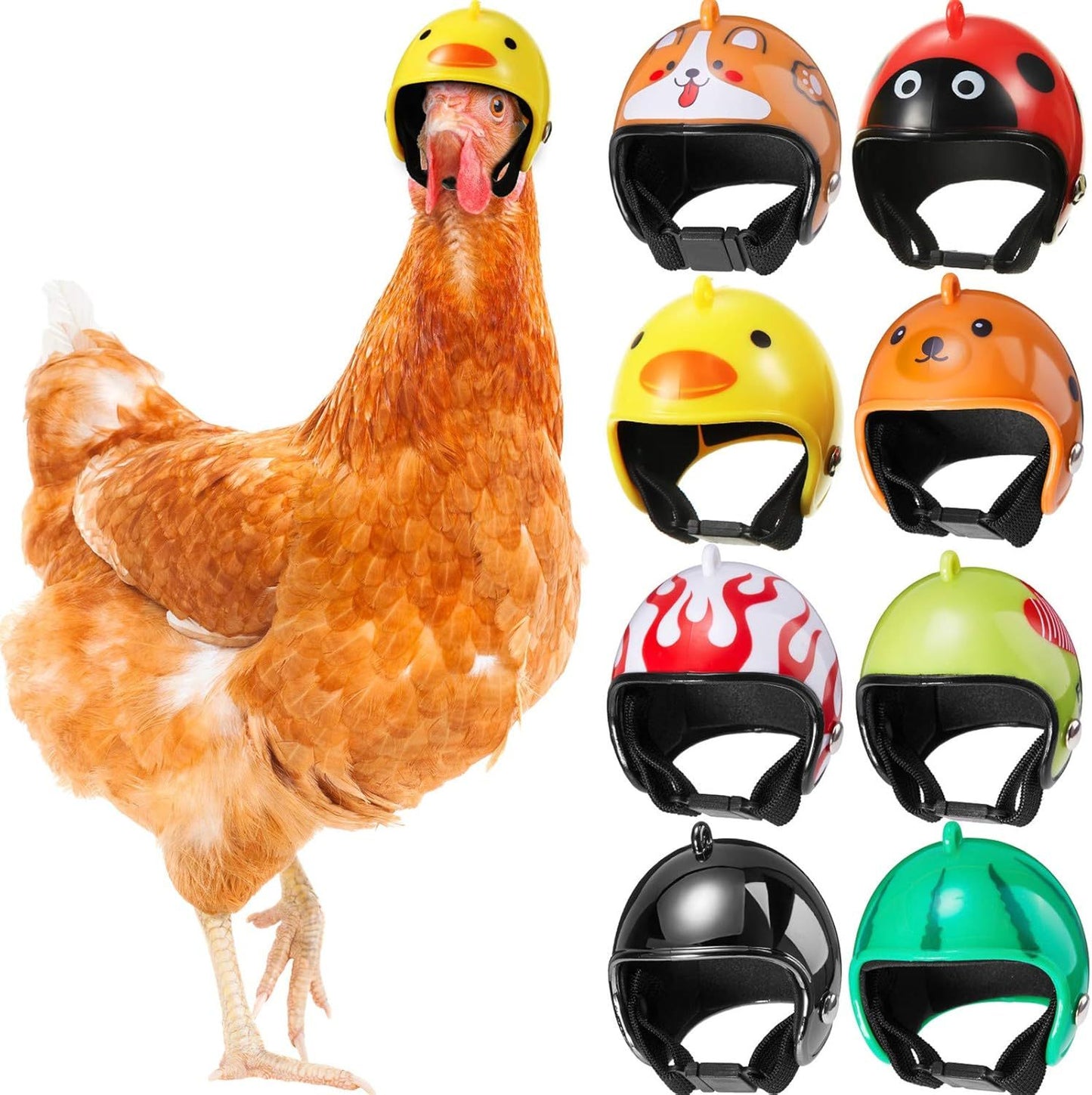 Bird Helmet