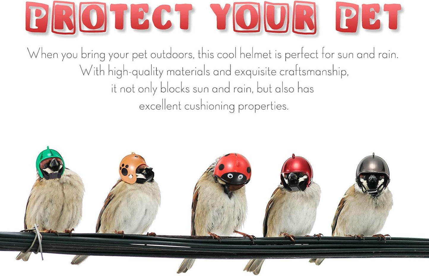 Bird Helmet