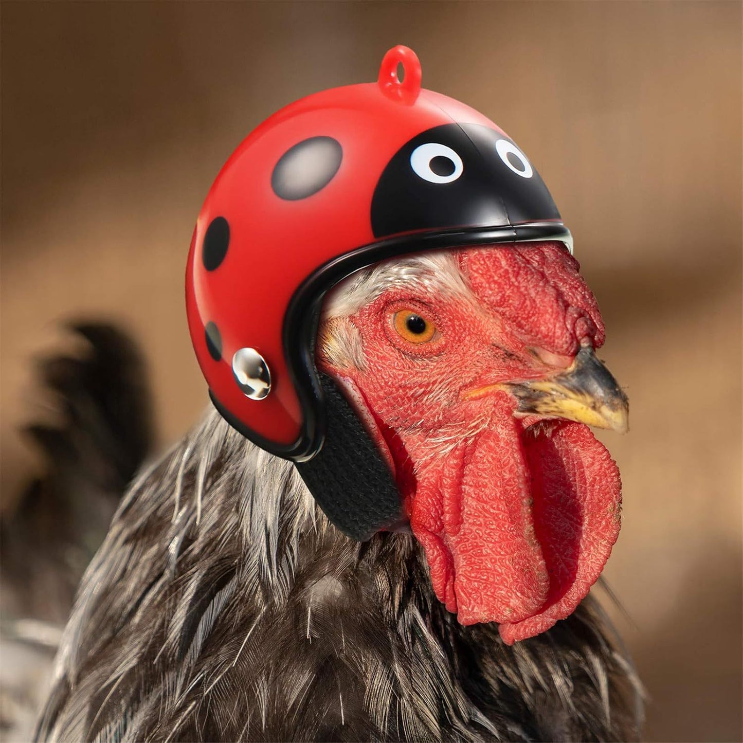 Bird Helmet