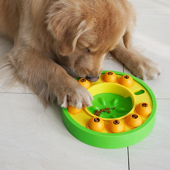 Interactive Pet Feeding System