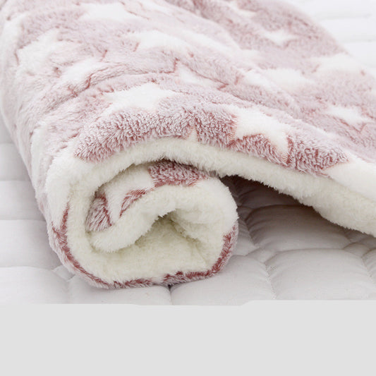 Thick Blanket Pad