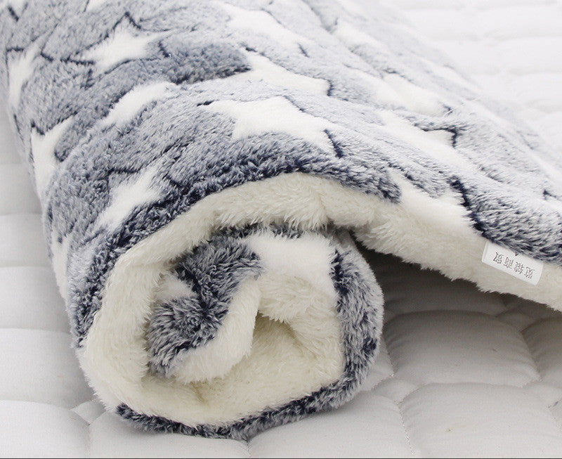 Thick Blanket Pad