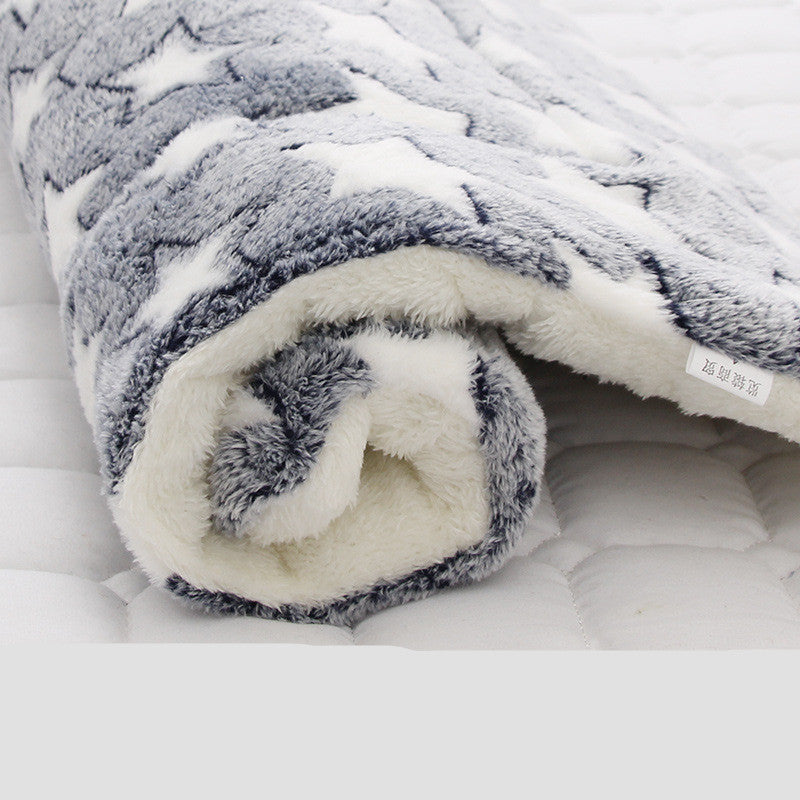 Thick Blanket Pad