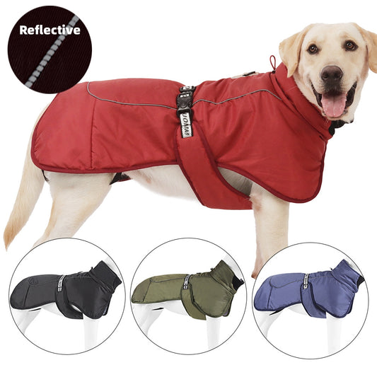 Large Animal Reflective Waterporoof Cloak